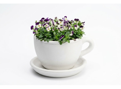 Blumenkübel Pflanz Kübel Natur Dekoration Vasen Figur Garten Blumentöpfe