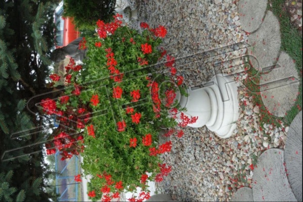 Blumenkübel Pflanz Kübel Dekoration Garten Vasen Natur Blumentöpfe Figur