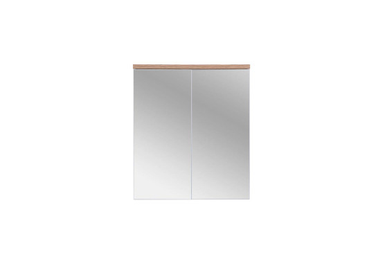 Spiegelschrank Badezimmerschrank Badspiegel 60x20x70 cm Schränke