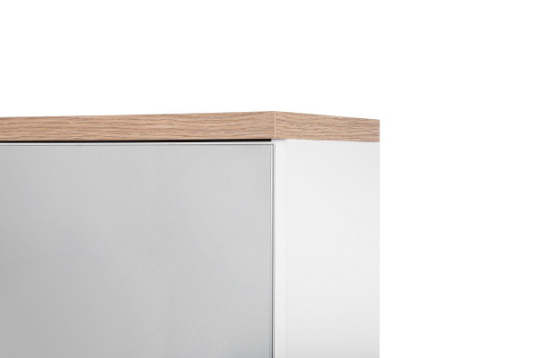 Spiegelschrank Badezimmerschrank Badspiegel 60x20x70 cm Schränke