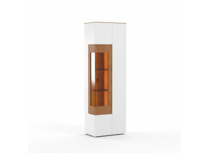 Vitrine Glas Schrank Wohnzimmer Schaufenster 1 trg. Vitrinen Hochschrank Modern