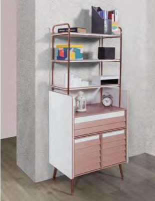 Kinderzimmer Jugendzimmer Kommode Kinderschrank Zweifarbig Möbel Mädchen Neu