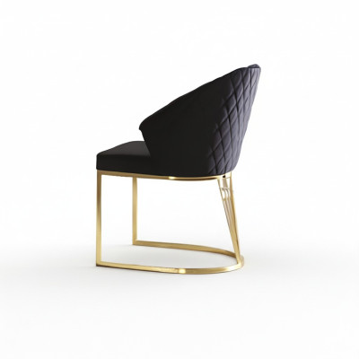 Polsterstuhl Esszimmerstuhl Holzstuhl Küchenstuhl Schwarz Modern Gold