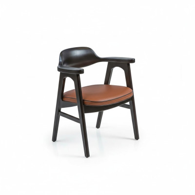 Esszimmer Stuhl mit Armlehnen Schwarz Holzstuhl Neu Möbel Design Sitz
