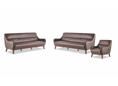 Sitzmöbel 3-Sitzer Sessel Braun Ledersofas Couch Lehnsessel Klassisch
