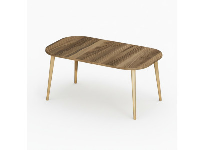 Moderner Couchtisch aus Holz in Braun