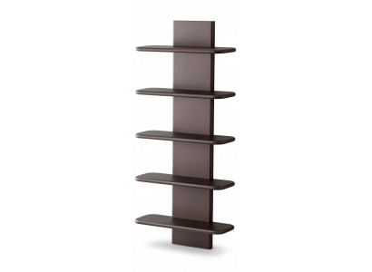 Wandregal Modern Braun Elegant Regal Bücherregal Hängeregal Holz