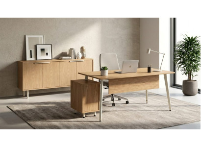 Büroeinrichtung Set Schreibtisch Sideboard Kommode Design Möbel