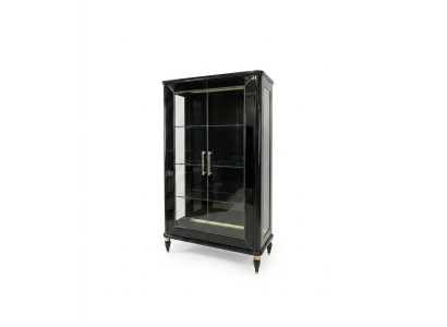 Vitrine Funktional Hochwertig Elegant Stilvoll Modern Pflegeleicht