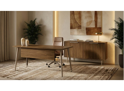Schreibtisch Sideboard Büro Set Arbeitszimmer Möbel Modern