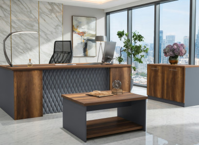 Stilvolles Büro Set Schreibtisch Sideboard Couchtisch Holz Grau