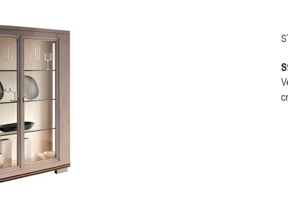 Wohnzimmer Schränke Design Schrank Möbel Glas Neu Vitrine 2 Tür Schrank Vitrinen