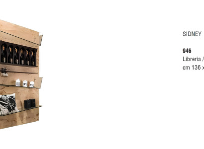 Design Trenn Wand Regal Wohn Zimmer Schränke Glas Regale Bücher Schrank Möbel