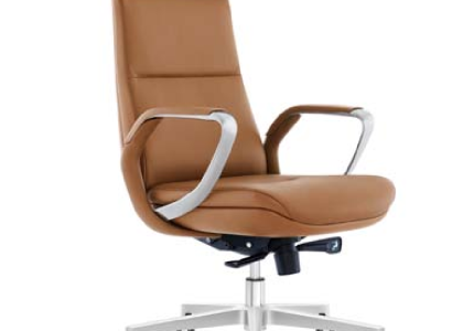 Leder-Sessel in Schwarz mit Edelstahlrahmen, modernes Design