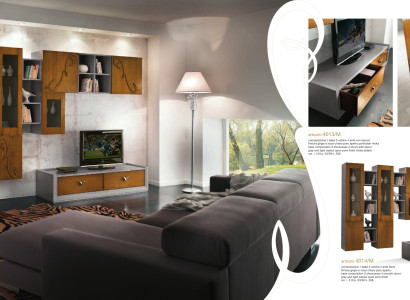 Wohnwand rtv Wandschrank Regal Wohnzimmer tv Holz Schränke Vitrine Wand Regale