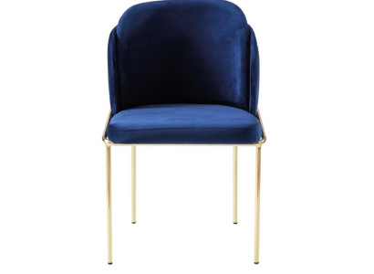 Sitz Stuhl Esszimmerstuhl Stühle 1 Sitzer Sessel Luxus Möbel Design Lehn Stoff