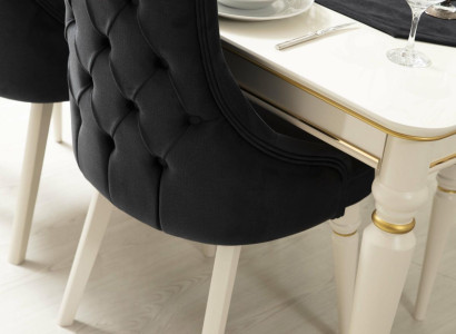 Moderner schwarzer Stuhl Design Holzstuhl Esszimmerstuhl Luxus Holz Möbel