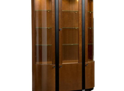 Vitrine Schaukasten Glasvitrine Glasaufbewahrung Schrank Esszimmerschrank