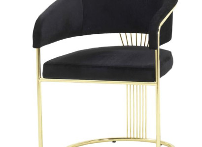 Esszimmer Modernen Stuhl Schwarz Luxus Designen Lehnstühle Möbel Hochwertig