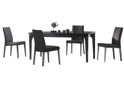 Esszimmer Set Esstisch 4x Stühle Tisch Polsterstühle Schwarz Edelstahl 5tlg