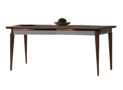 Esstisch Esszimmer Braun Rechteckig Tisch Essplatz Holztisch Lux Moderne Möbel