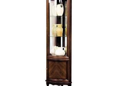 Eckvitrine Schaukasten Glasvitrine Glasschrank Regalvitrine Vitrine Schrank