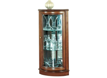 Schaukästchen Vitrine Glasvitrine Glasschrank Vitrinenschrank Glasdisplay