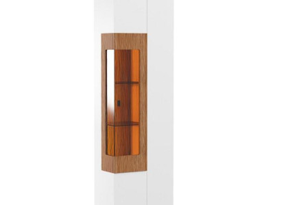 Vitrinenschrank Vitrine Schrankvitrine Glasdisplay Objektschrank