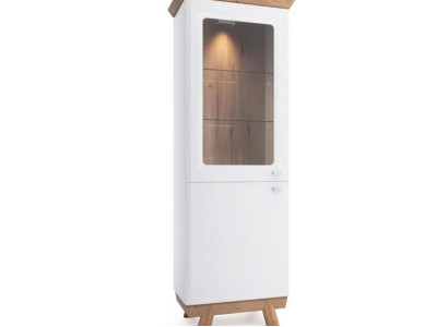 Vitrinenschrank Vitrine Schrankvitrine Glasdisplay Objektschrank