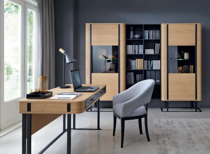 Komplett Büro Arbeitszimmer Set Schreibtisch Aktenschrank Einrichtung