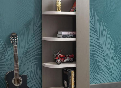 Regal Schrank Bücherschrank für Kinderzimmer Jugendzimmer Braun Modern