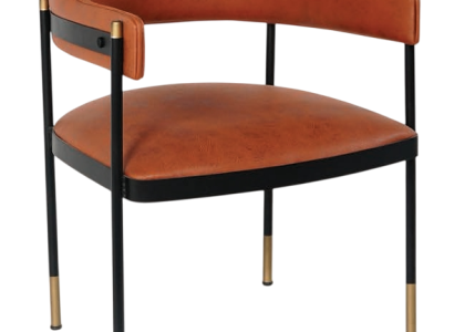 Brauner Esszimmer Lederstuhl Stilvoller Armlehnenstuhl Küchenstühle