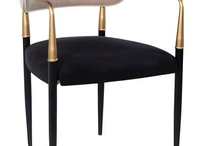 Stilvoller Esszimmerstuhl Designer Küchenstühle Armlehnenstühle