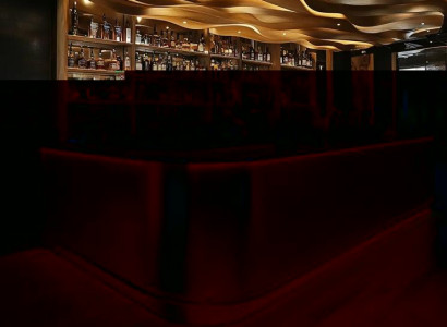 Barschrank Bartresen Bar Tresen Bartheke Barmöbel Thekenelement