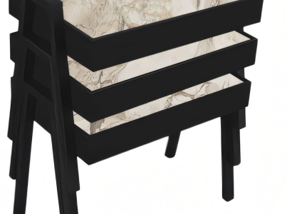 Schwarzes Holz Couchtisch-Set Modern Elegantes Wohnzimmermöbel