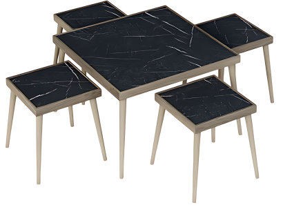 Elegantes Wohnzimmer-Set Schwarz Holz Modern