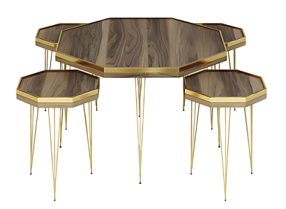 Elegantes braunes Wohnzimmer-Set aus Holz und MDF mit goldfarbenen