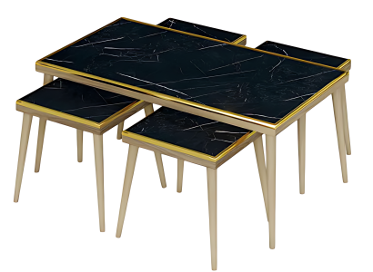 Schwarzes Wohnzimmer-Set aus Holz und Edelstahl im eleganten Design