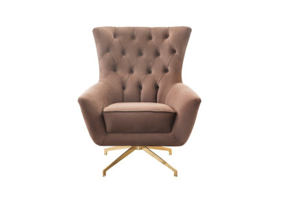 Der bequeme Sessel in modernem Design verschönert jeden Raum.