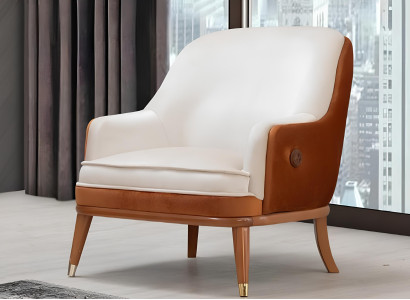 Ein lakonischer Akzent für Ihr Zuhause Sessel in stilvollem Design