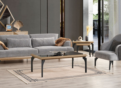 Graue Wohnzimmer Garnitur 3-Sitzer Sofa Polstersessel Couchtische