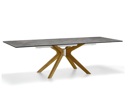 Moderner Esstisch mit elegantem Marmor und stilvollem Holzgestell