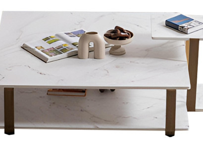 Eleganter Grauer Couchtisch Designer Marmorplatte Edle Metallfüße