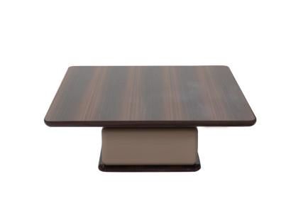 Eleganter Couchtisch Wohnzimmertisch Designer Holztische Möbel